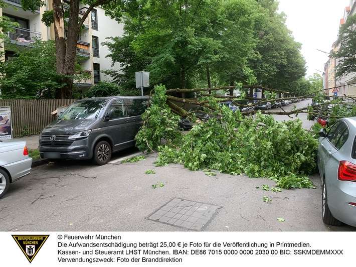 FW-M: Herabfallender Ast beschädigt mehrere Fahrzeuge (Neuhausen)