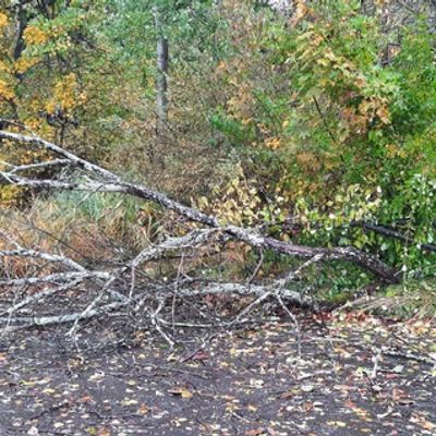 FW Konstanz: Unwetterlage fordert die Feuerwehr