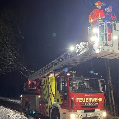 FW-AUR: Langer Ast drohte niederzustürzen