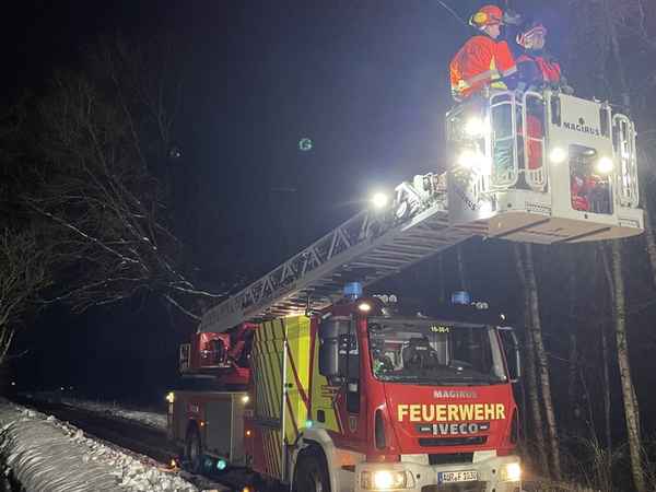 FW-AUR: Langer Ast drohte niederzustürzen