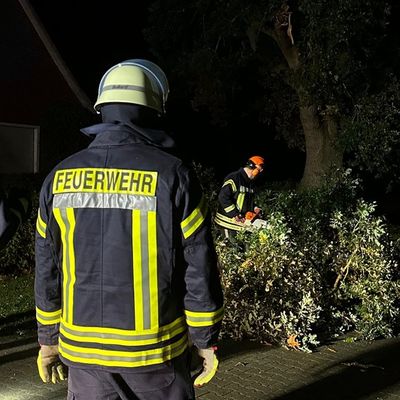 FW-AUR: Weitere Sturmfolgen entfernt