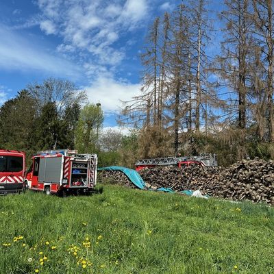 FW Stockach: Tierrettung