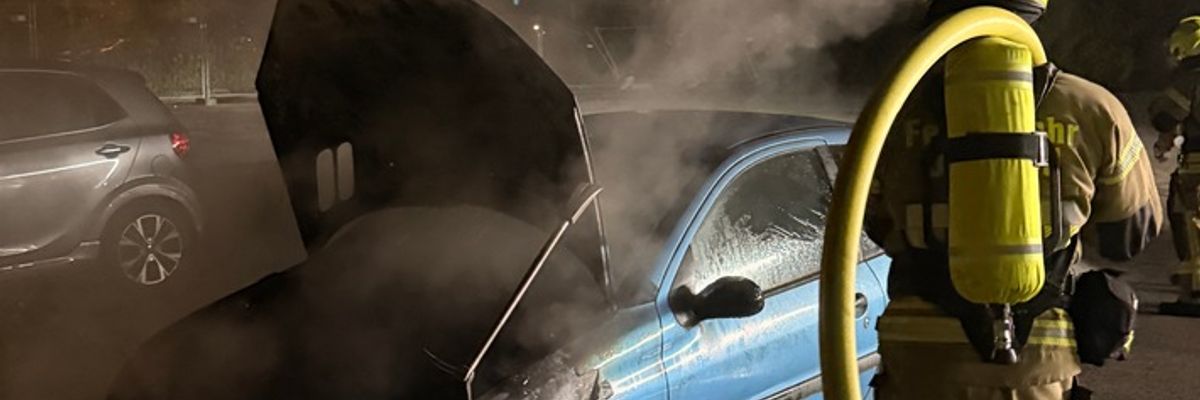FW-DT: PKW-Brand