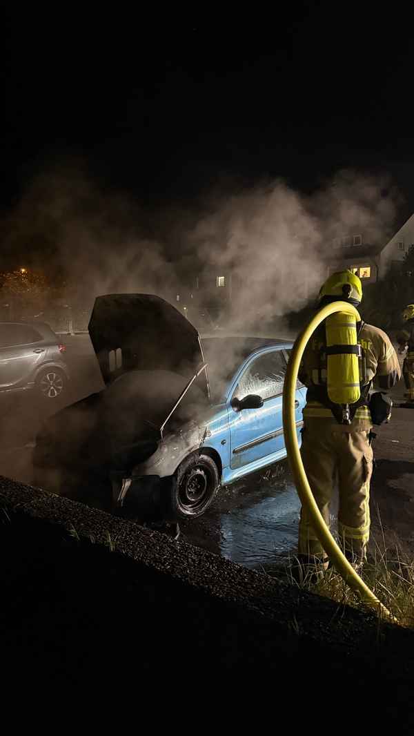 FW-DT: PKW-Brand