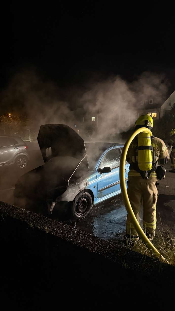FW-DT: PKW-Brand