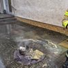 FW Südheide: Fettbrand in Küche