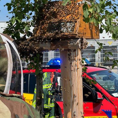 FW-OG: Tierischer Flugtag bei der Feuerwehr