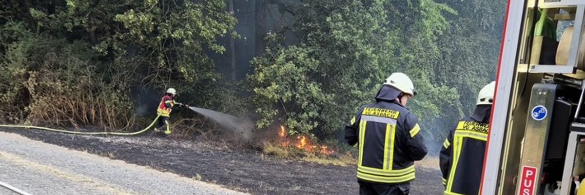 FW VG Asbach: Flächenbrand bei Buchholz schnell unter Kontrolle