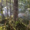 FW-GE: Vegetationsbrand im Bereich der Sportanlage Schürenkamp in Gelsenkirchen