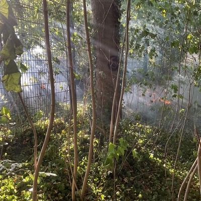 FW-GE: Vegetationsbrand im Bereich der Sportanlage Schürenkamp in Gelsenkirchen