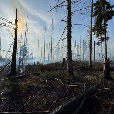 FW Kreis Soest: Erste Folgemeldung Waldbrand Möhnesee