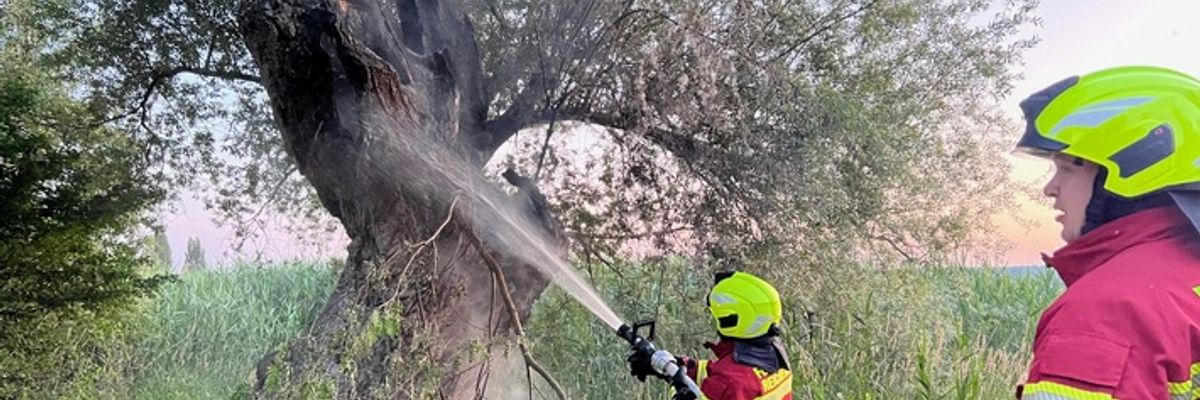 FW Reichenau: Brennender Baum konnte gelöscht werden, 20.06.2024, Reichenau-Mittelzell
