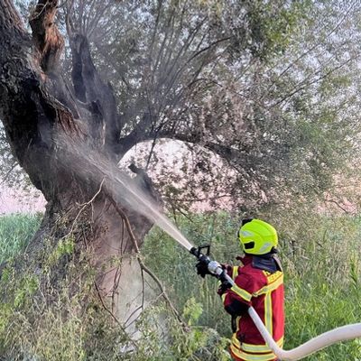 FW Reichenau: Brennender Baum konnte gelöscht werden, 20.06.2024, Reichenau-Mittelzell