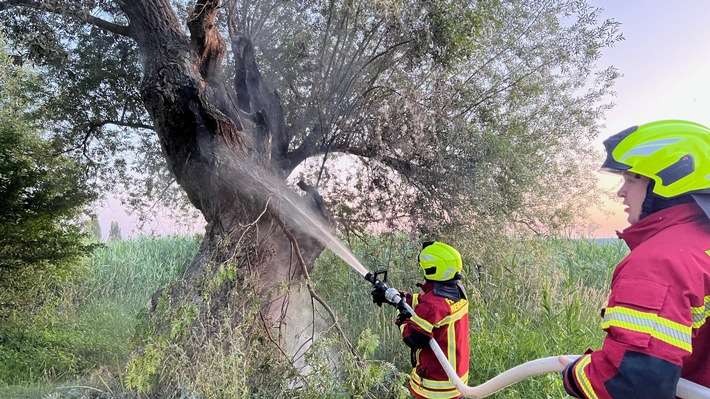 FW Reichenau: Brennender Baum konnte gelöscht werden, 20.06.2024, Reichenau-Mittelzell
