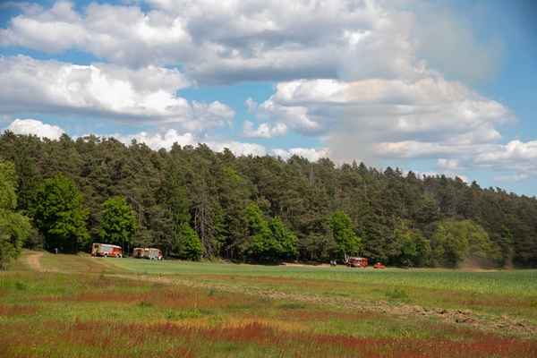 FW LK Neunkirchen: Großer Waldbrand auf dem Kleinen Hirschberg bei Neunkirchen-Kohlhof