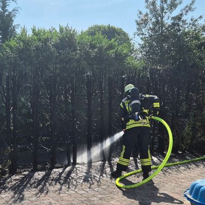 FW Ense: Brennende Hecke - Gebäude in Gefahr