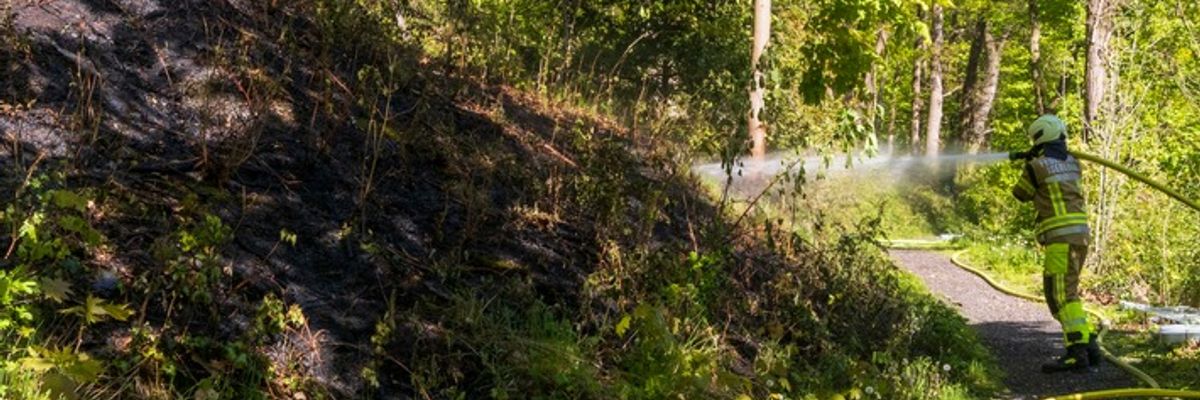 FW-MK: Flächenbrand am "Lünkerhohl"