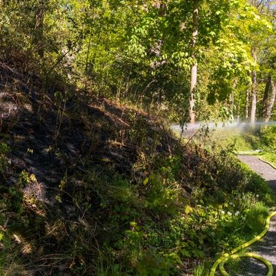 FW-MK: Flächenbrand am "Lünkerhohl"
