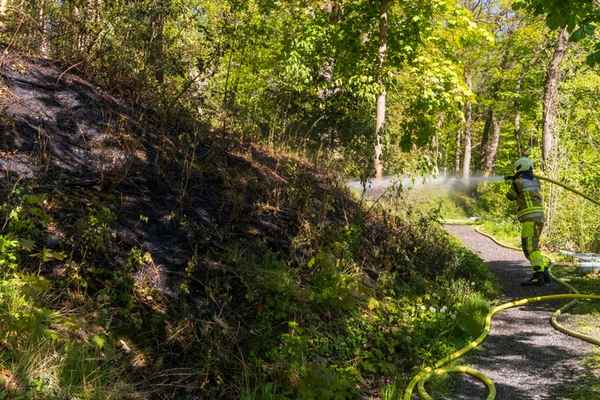 FW-MK: Flächenbrand am "Lünkerhohl"