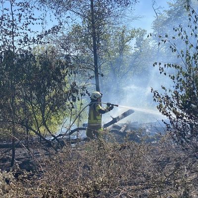 FW-MK: Waldbrand auf der Rauhen Hardt