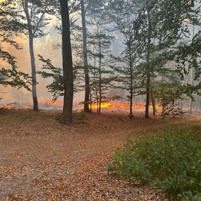 FW Rheingau-Taunus: Erstmeldung: Waldbrand zwischen Bad Schwalbach-Hettenhain und Taunusstein-Seitzenhahn - rund 150 Einsatzkräfte im Einsatz