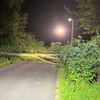 FW Hünxe: Baum blockiert Straße
