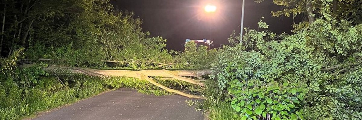 FW Hünxe: Baum blockiert Straße