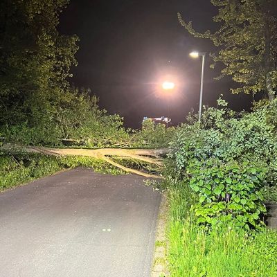 FW Hünxe: Baum blockiert Straße