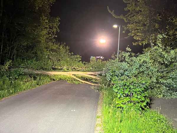 FW Hünxe: Baum blockiert Straße