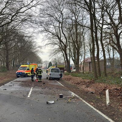 FW-AUR: Baum-Aufprall reißt Motorblock aus PKW