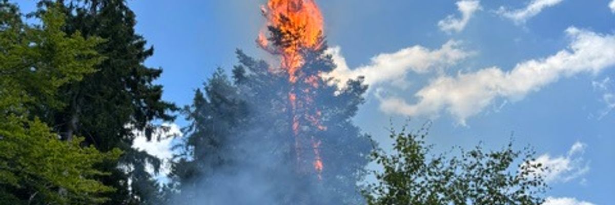 KFV-CW: Waldbrand in Enzklösterle / Große Entfernungen für Wasserversorgung