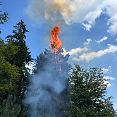 KFV-CW: Waldbrand in Enzklösterle / Große Entfernungen für Wasserversorgung