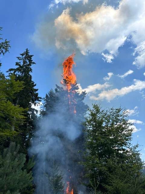 KFV-CW: Waldbrand in Enzklösterle / Große Entfernungen für Wasserversorgung