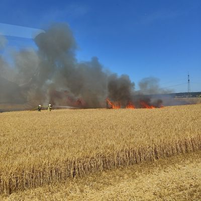 FW Helmstedt: 3 Hektar Getreidfeld in Flammen