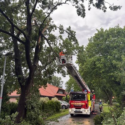 FW-AUR: Vermehrte Blitzeinschläge während nächtlicher Gewitter