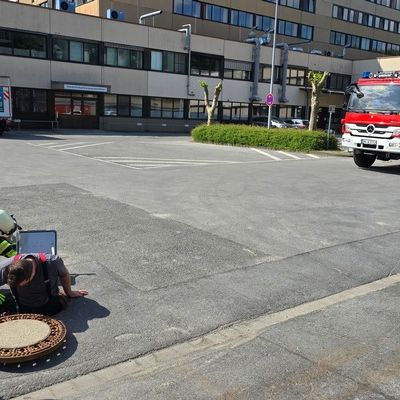FW-WRN: TH_1 - LZ1 - Tierrettung - Entenküken im Gully