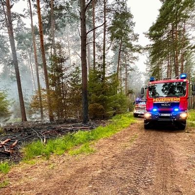 FW Lüchow-Dannenberg: +++ Lüchow-Dannenberg: Waldbrand im Gartower Forst +++ rund 5.000 qm Waldfläche betroffen +++ Erinnerungen an 1975 werden wach +++