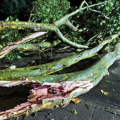 FW Überlingen: Zahlreiche Einsätze nach unwetterartigem Starkregenereignis in Überlingen / mehrere Unwettereinsätze in kurzer zeitlicher Abfolge