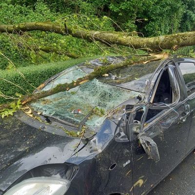 FW-EN: Massiver Baum stürze auf fahrenden Pkw - Zwei Verletzte bei Unfall in Herdecke - Großes Glück für Insassen