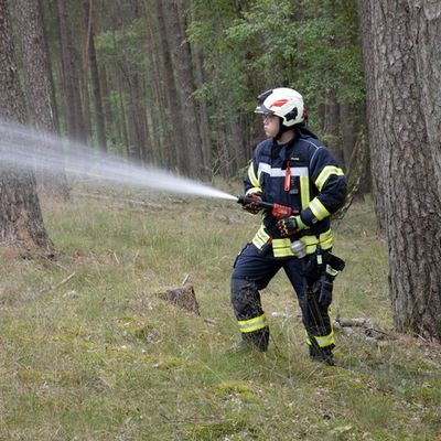FW Lüchow-Dannenberg: +++ Waldbrandübung in Lüchow-Dannenberg +++ Feldbrand bei Clenze breitet sich aus +++ Insgesamt 8ha Waldgebiet betroffen +++ Feuerwehr hat Probleme mit engen und zugewachsenen Wegen +++