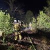 FW-E: Nächtlicher Waldbrand in steilem Gelände - Feuerwehr im Großeinsatz