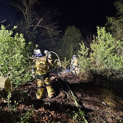 FW-E: Nächtlicher Waldbrand in steilem Gelände - Feuerwehr im Großeinsatz