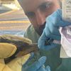 FW-HB: Ein tierischer Ausnahmefall in der Notaufnahme