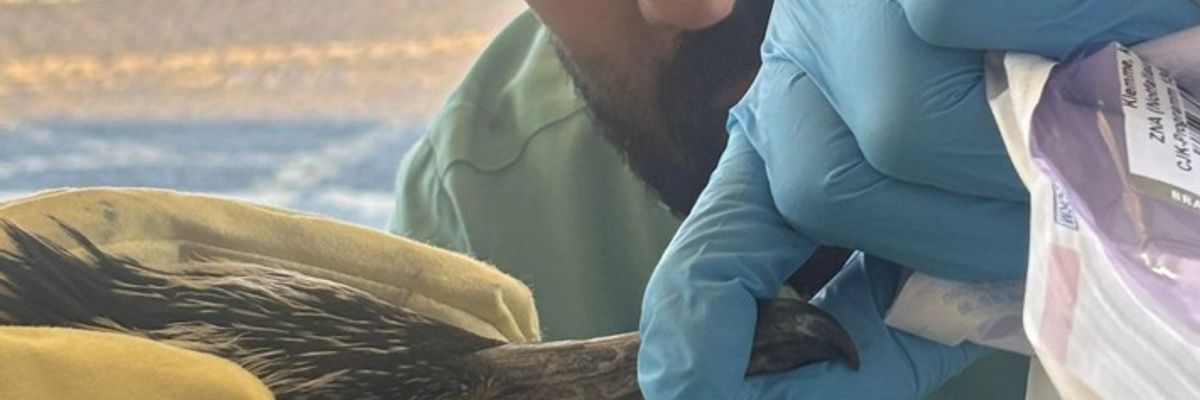 FW-HB: Ein tierischer Ausnahmefall in der Notaufnahme