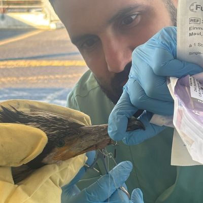 FW-HB: Ein tierischer Ausnahmefall in der Notaufnahme