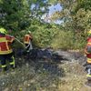 FW Reichenau: Grünschnitt in Brand geraten, Reichenau-Oberzell, 21.06.2025