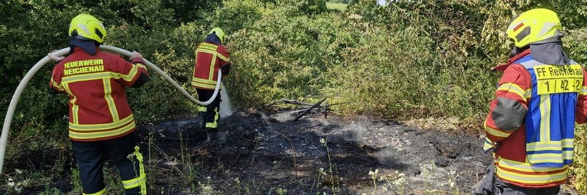 FW Reichenau: Grünschnitt in Brand geraten, Reichenau-Oberzell, 21.06.2025
