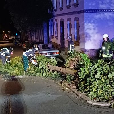 FW-EN: Wetter - Sattelauflieger bringt Baum zu fallen