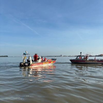 FW-PI: Vegetationsbrand auf der Elbinsel Pagensand - Aufwendiger Einsatz über Wasserwege