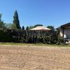 FW Alpen: Heckenbrand
